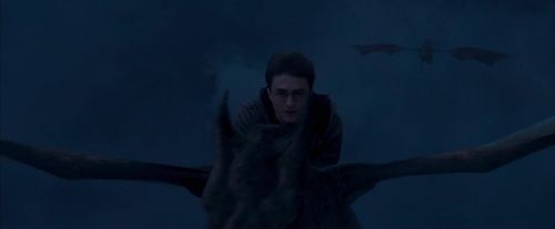 Click to view full size image
==============
OdF-Potterish_7655.jpg OdF-Potterish_7655.jpg