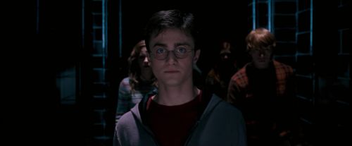 Click to view full size image
==============
OdF-Potterish_7700.jpg OdF-Potterish_7700.jpg