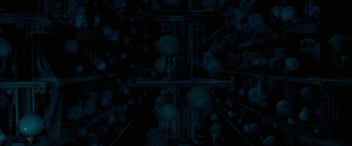 OdF-Potterish_7710.jpg