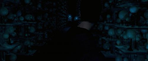 OdF-Potterish_7778.jpg