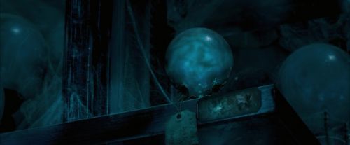 OdF-Potterish_7793.jpg