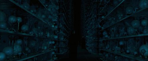 OdF-Potterish_7954.jpg