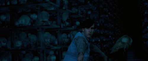 OdF-Potterish_8054.jpg