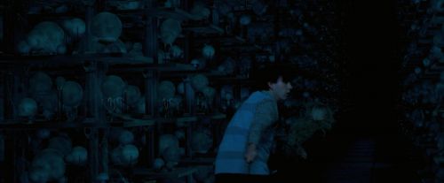 OdF-Potterish_8055.jpg
