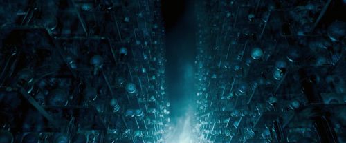 OdF-Potterish_8102.jpg