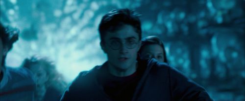 OdF-Potterish_8120.jpg