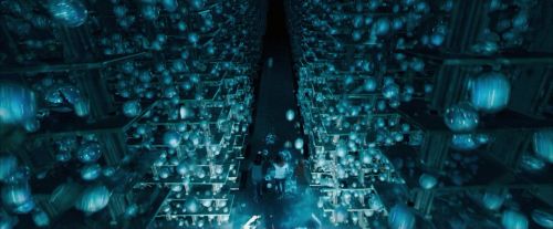 OdF-Potterish_8122.jpg