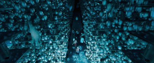 OdF-Potterish_8123.jpg