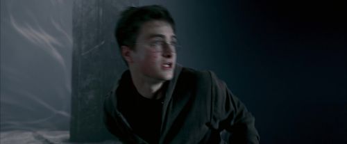 OdF-Potterish_8235.jpg