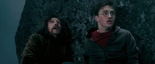 OdF-Potterish_8372.jpg