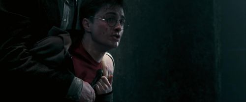 Click to view full size image
==============
OdF-Potterish_8490.jpg OdF-Potterish_8490.jpg