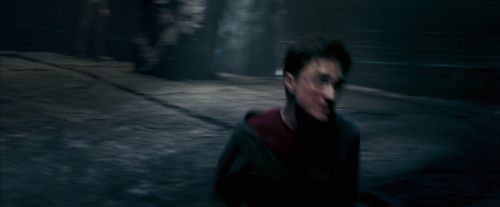 Click to view full size image
==============
OdF-Potterish_8498.jpg OdF-Potterish_8498.jpg