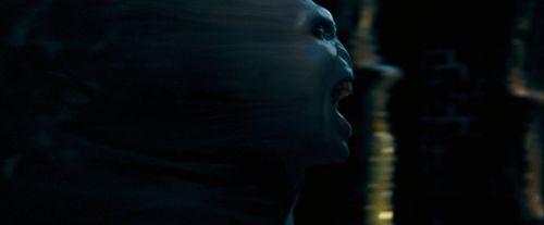OdF-Potterish_8547.jpg