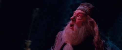 OdF-Potterish_8639.jpg