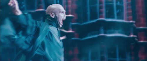 OdF-Potterish_8680.jpg