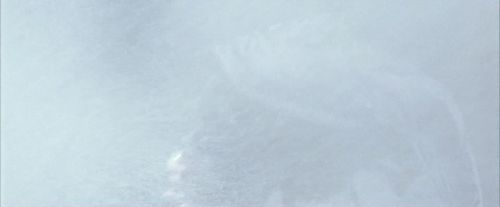 Click to view full size image
==============
OdF-Potterish_8708.jpg OdF-Potterish_8708.jpg