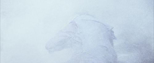 OdF-Potterish_8710.jpg