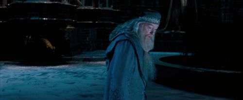 OdF-Potterish_8746.jpg
