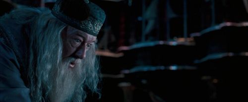 OdF-Potterish_8760.jpg