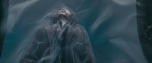 OdF-Potterish_8771.jpg