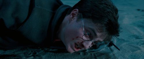OdF-Potterish_8774.jpg