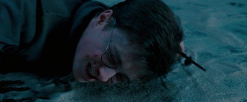 OdF-Potterish_8776.jpg