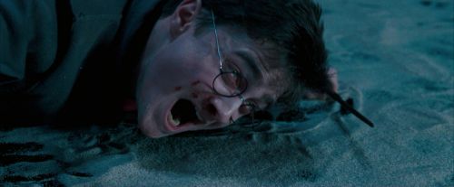 Click to view full size image
==============
OdF-Potterish_8777.jpg OdF-Potterish_8777.jpg
