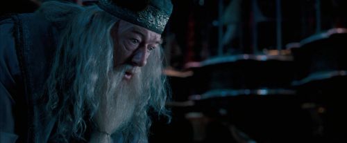 OdF-Potterish_8779.jpg
