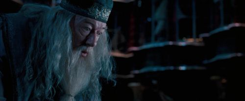 OdF-Potterish_8780.jpg