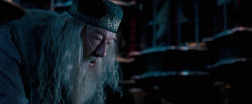 OdF-Potterish_8782.jpg