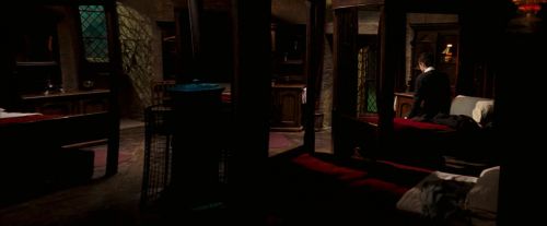 OdF-Potterish_8791.jpg