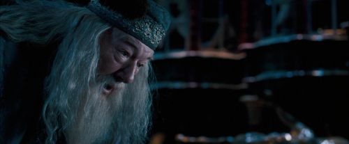OdF-Potterish_8806.jpg