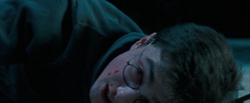 Click to view full size image
==============
OdF-Potterish_8815.jpg OdF-Potterish_8815.jpg