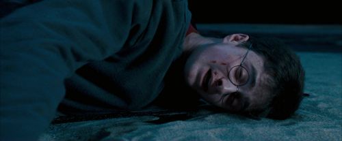 OdF-Potterish_8853.jpg