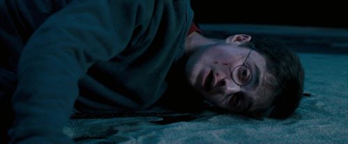 Click to view full size image
==============
OdF-Potterish_8854.jpg OdF-Potterish_8854.jpg