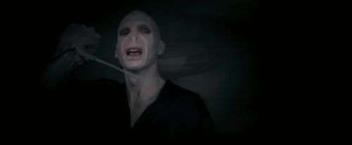 Click to view full size image
==============
OdF-Potterish_8861.jpg OdF-Potterish_8861.jpg