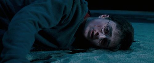 OdF-Potterish_8863.jpg