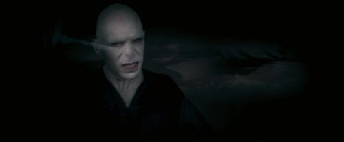 OdF-Potterish_8879.jpg