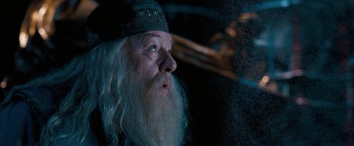 OdF-Potterish_8893.jpg