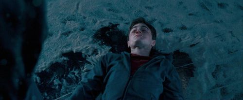 OdF-Potterish_8909.jpg