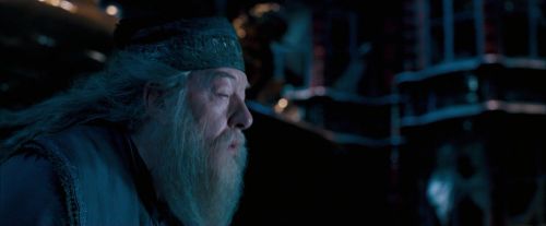 OdF-Potterish_8926.jpg