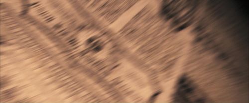 OdF-Potterish_8960.jpg