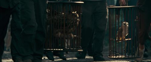 OdF-Potterish_9203.jpg