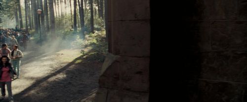 Click to view full size image
==============
OdF-Potterish_9219.jpg OdF-Potterish_9219.jpg