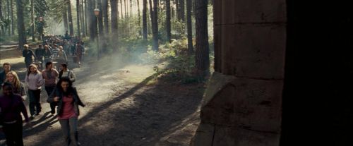 Click to view full size image
==============
OdF-Potterish_9220.jpg OdF-Potterish_9220.jpg