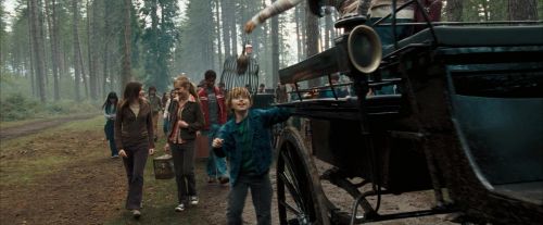 OdF-Potterish_9223.jpg