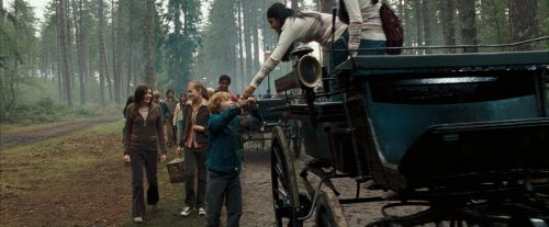 Click to view full size image
==============
OdF-Potterish_9224.jpg OdF-Potterish_9224.jpg