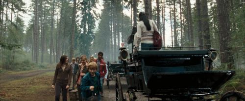 OdF-Potterish_9225.jpg