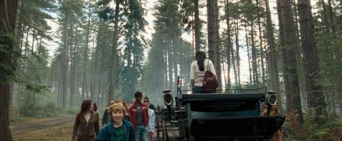OdF-Potterish_9226.jpg