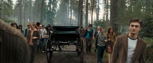OdF-Potterish_9229.jpg